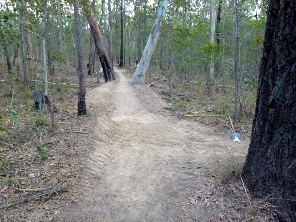 P1150799.jpg